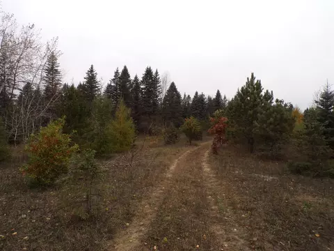 14355 Mallard, Thompsonville, MI 49683