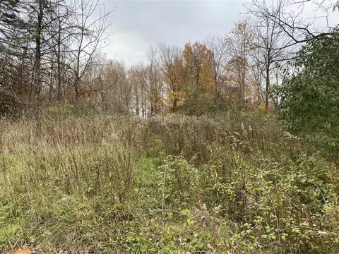 4933 W Olive Br, Three Oaks, MI 49128