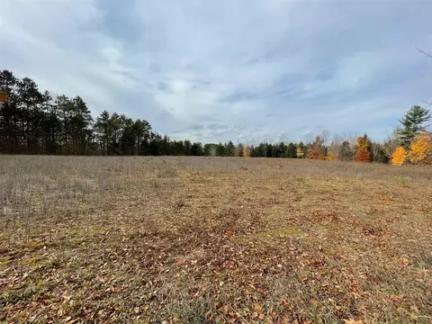 V/l Erwin, Copemish, MI 49625 photo 6