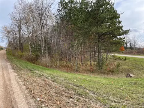 V/l Erwin, Copemish, MI 49625 photo 9