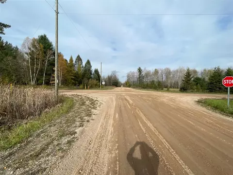 V/l Erwin, Copemish, MI 49625 photo 3