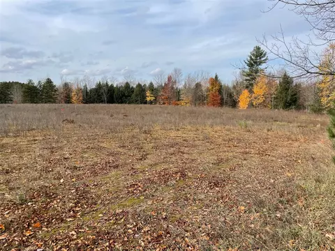 V/l Erwin, Copemish, MI 49625 photo 5
