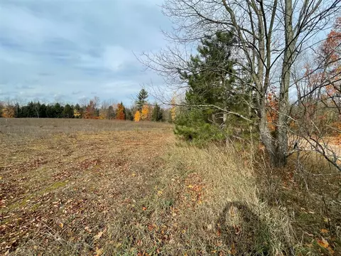 V/l Erwin, Copemish, MI 49625 photo 8