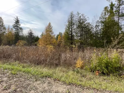 V/l Erwin, Copemish, MI 49625 photo 2