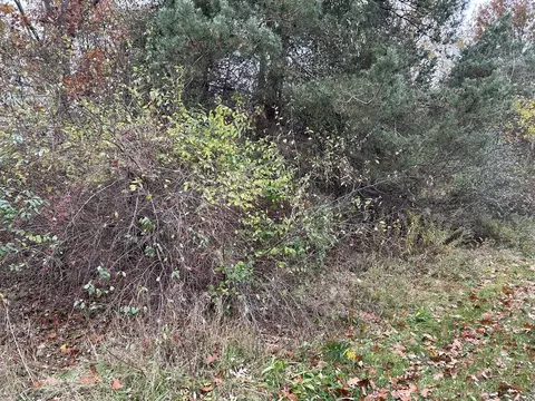 Hiltop, Hamilton, MI 49419