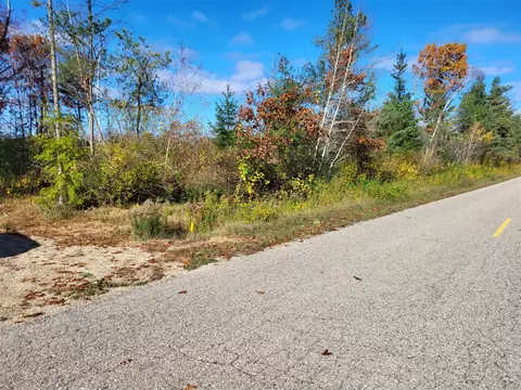 14147 55th, Remus, MI 49340 photo 5