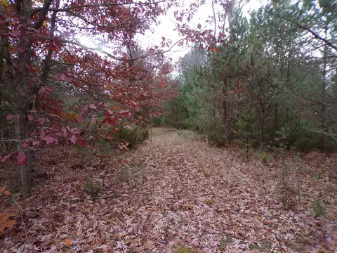 1961 W Hoague, Manistee, MI 49660