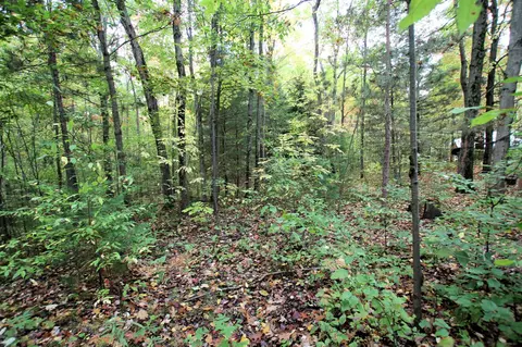 20956 100th, Evart, MI 49631 photo 16
