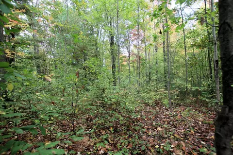 20956 100th, Evart, MI 49631 photo 15