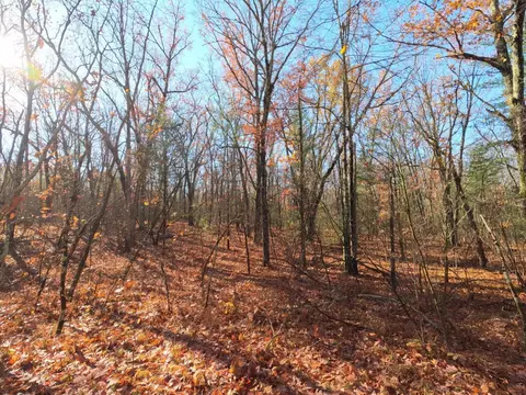 V/l Woodland Park Lots 5 To 9, Bitely, MI 49309