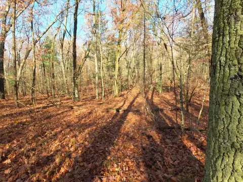 V/l Woodland Park Lots 5 To 9, Bitely, MI 49309 photo 5