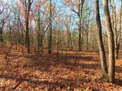 V/l Woodland Park Lots 5 To 9, Bitely, MI 49309 photo 2
