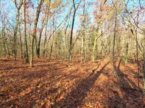 V/l Woodland Park Lots 5 To 9, Bitely, MI 49309 photo 4