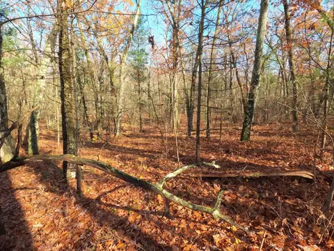 V/l Woodland Park Lots 5 To 9, Bitely, MI 49309 photo 11