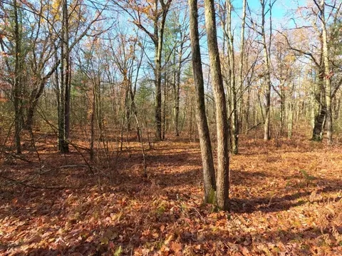 V/l Woodland Park Lots 5 To 9, Bitely, MI 49309 photo 3