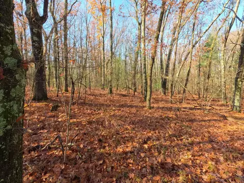 V/l Woodland Park Lots 5 To 9, Bitely, MI 49309 photo 7