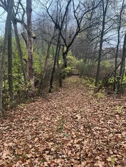 Manning Lake, Richland, MI 49083