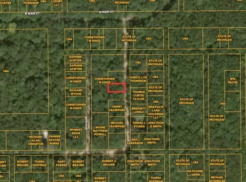 V/l 40th Ave, Bitely, MI 49309 photo 6