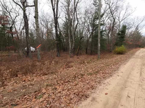 V/l 40th Ave, Bitely, MI 49309
