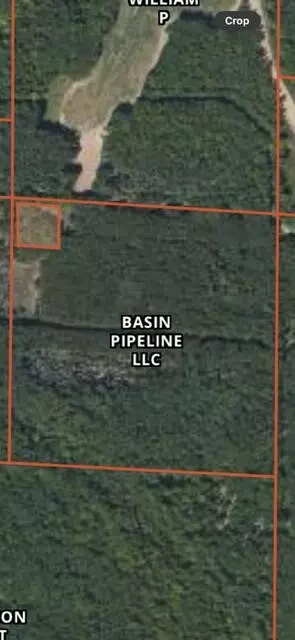 Milarch, Manistee, MI 49660