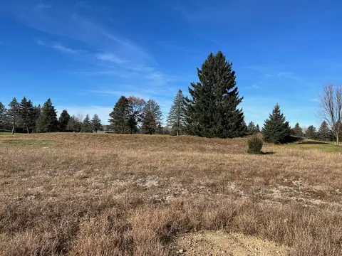 7237 Ryans Run, Canadian Lakes, MI 49346