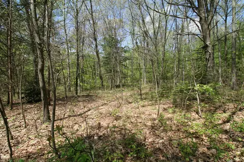 westwood, Hamilton, MI 49419 photo 4