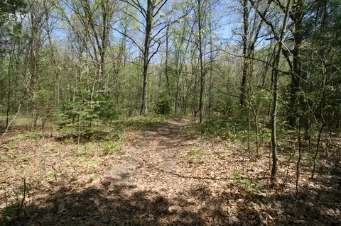 westwood, Hamilton, MI 49419 photo 3