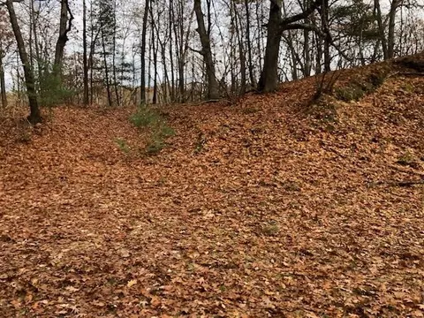 00 Butternut, Lakeview, MI 48850