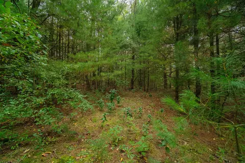 000 Erdman, Onekama, MI 49675