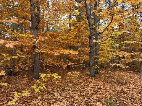 V/l 5a Rice, Copemish, MI 49625 photo 18