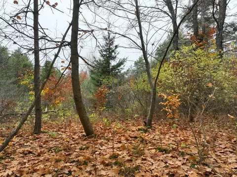 V/l 5a Rice, Copemish, MI 49625 photo 20