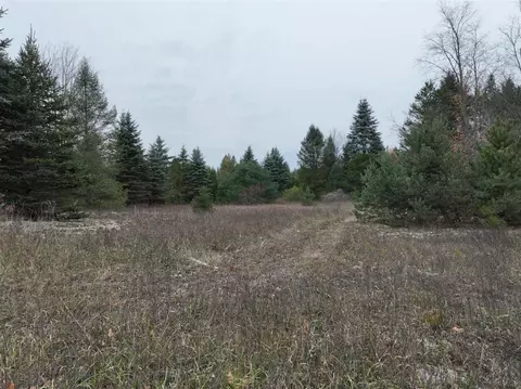 V/l 5a Rice, Copemish, MI 49625 photo 23