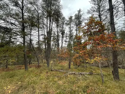 V/l 26.9a Old Us 27, Grayling, MI 49738 photo 6