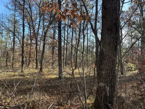 V/l S Stanberry, Baldwin, MI 49304 photo 2