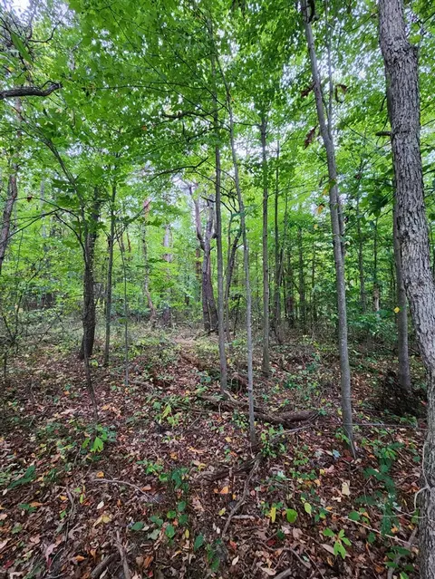 Parcel A Legacy Lane, Dorr, MI 49323 photo 2