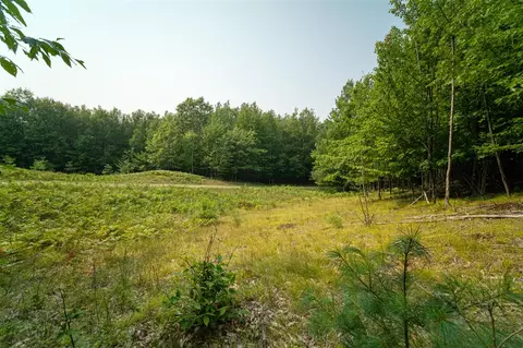 Outback, Manistee, MI 49660