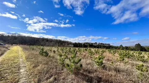 74 Acres 16 Mile Rd, Manton, MI 49663 photo 14
