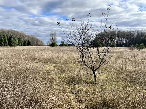 74 Acres 16 Mile Rd, Manton, MI 49663 photo 10
