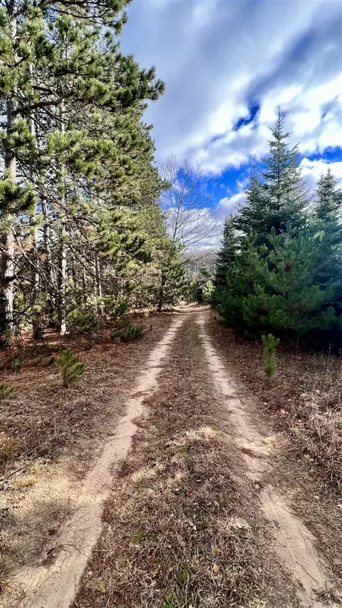 74 Acres 16 Mile Rd, Manton, MI 49663 photo 17