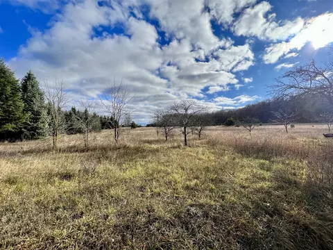 74 Acres 16 Mile Rd, Manton, MI 49663 photo 12