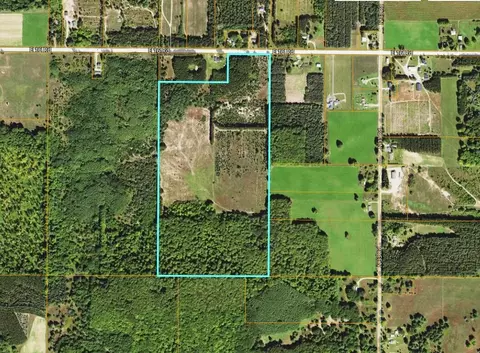 74 Acres 16 Mile Rd, Manton, MI 49663 photo 19