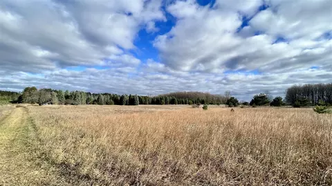74 Acres 16 Mile Rd, Manton, MI 49663 photo 9