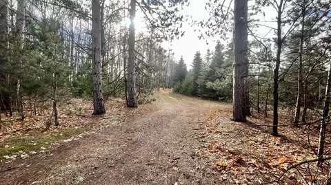 74 Acres 16 Mile Rd, Manton, MI 49663