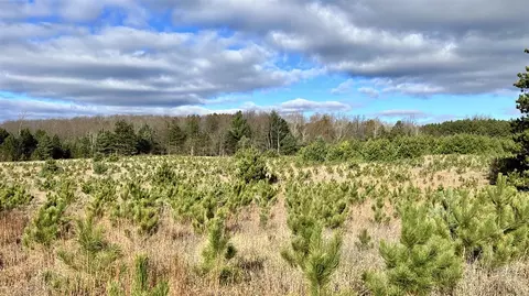 74 Acres 16 Mile Rd, Manton, MI 49663 photo 15