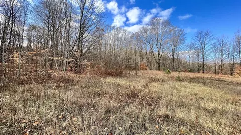 74 Acres 16 Mile Rd, Manton, MI 49663 photo 6