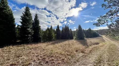 74 Acres 16 Mile Rd, Manton, MI 49663 photo 16