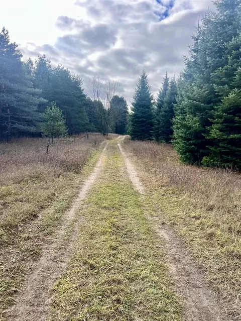 74 Acres 16 Mile Rd, Manton, MI 49663 photo 2