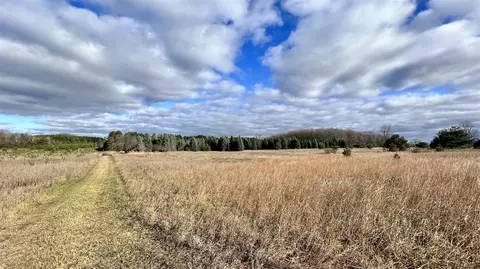 74 Acres 16 Mile Rd, Manton, MI 49663 photo 7