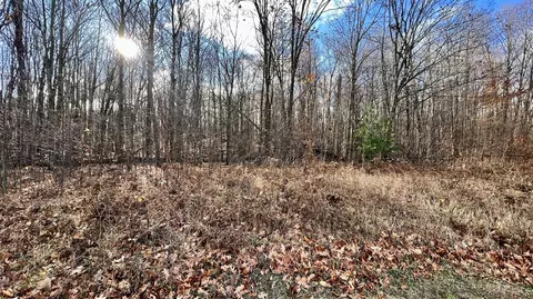 74 Acres 16 Mile Rd, Manton, MI 49663 photo 3