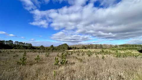 74 Acres 16 Mile Rd, Manton, MI 49663 photo 13